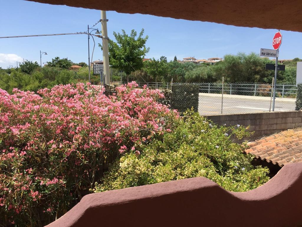 Villa Il Fenicottero Rosa Olbia Exterior foto